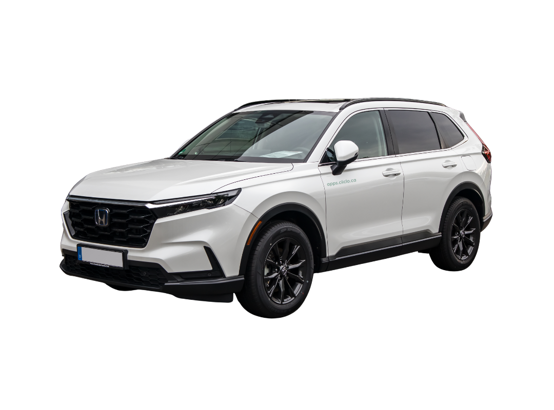 Book a ride on Ciiclo
